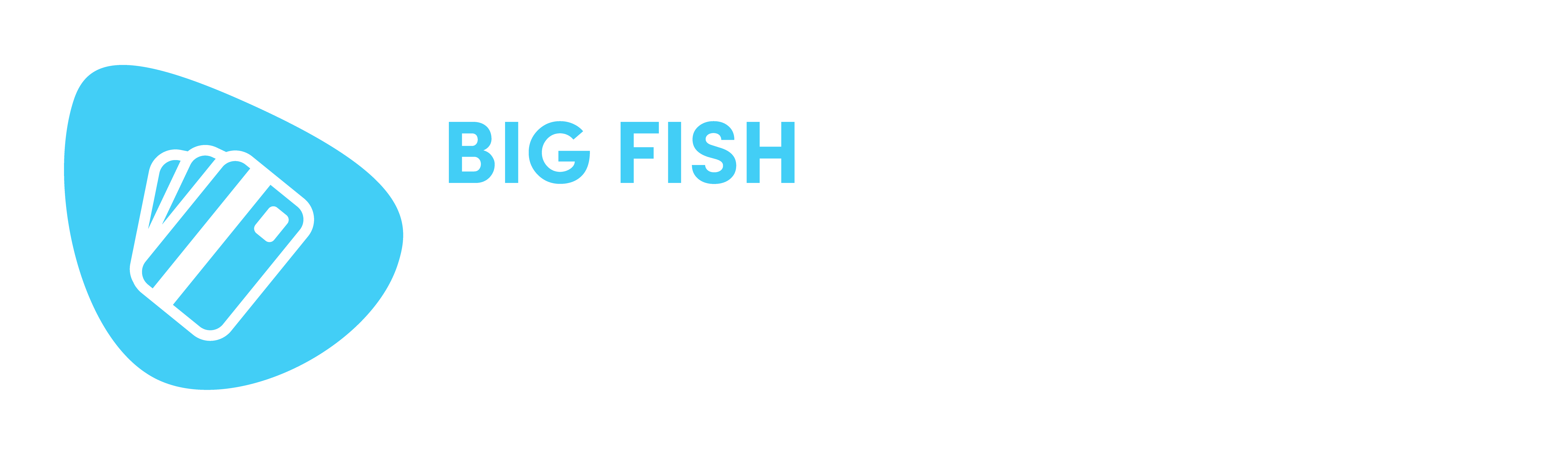 BIG FISH Payment Gateway